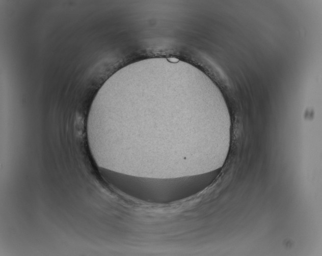 X0000094350025200711301412