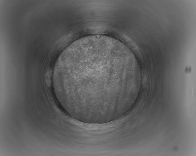 X0000094350026200711301412