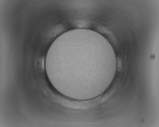 X0000094350028200711301412