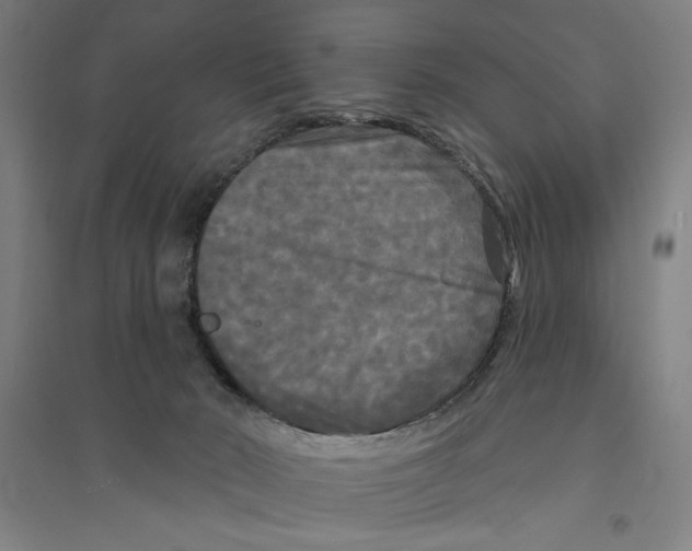 X0000094350030200711301412
