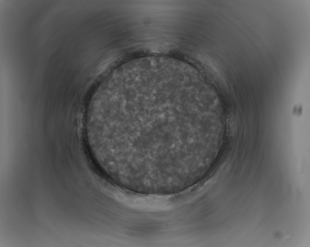 X0000094350032200711301412