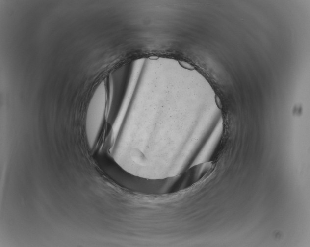 X0000094350033200711301412