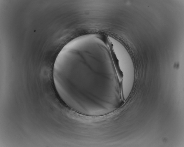 X0000094350035200711301412