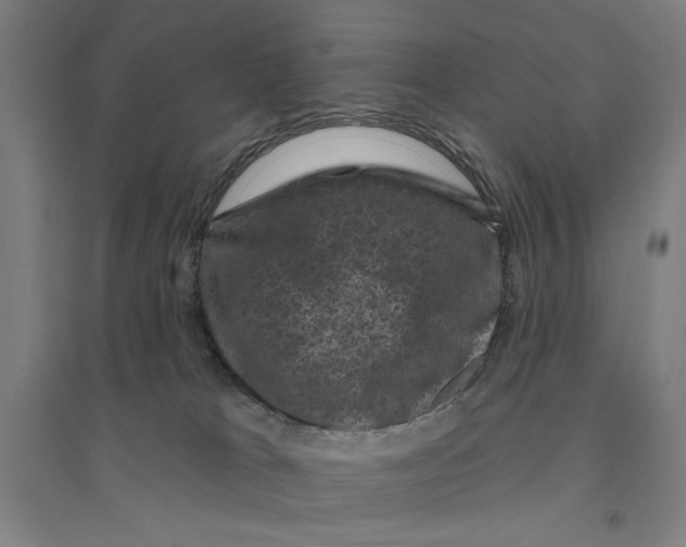 X0000094350037200711301412