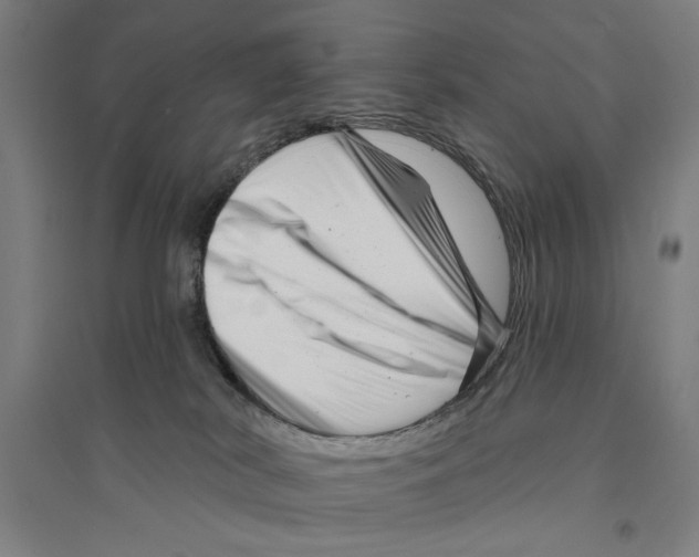 X0000094350038200711301412
