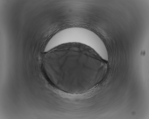X0000094350039200711301412