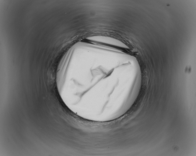 X0000094350040200711301412
