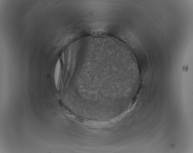X0000094350041200711301412