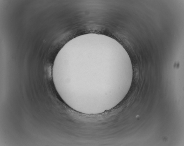 X0000094350042200711301412