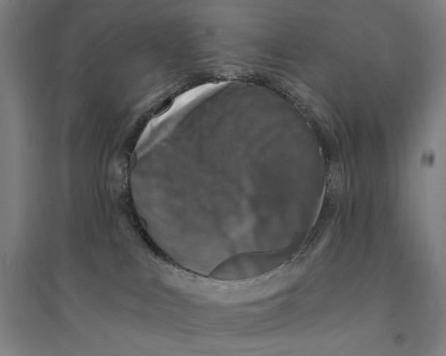 X0000094350043200711301412