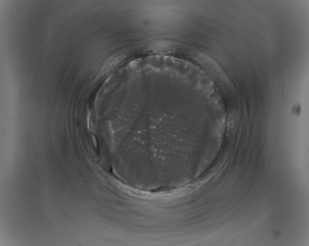 X0000094350046200711301412