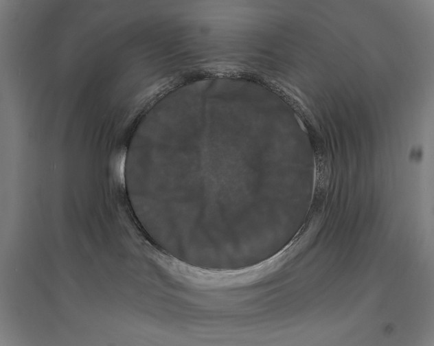 X0000094350047200711301412