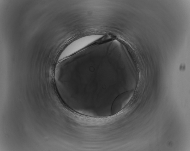 X0000094350048200711301412