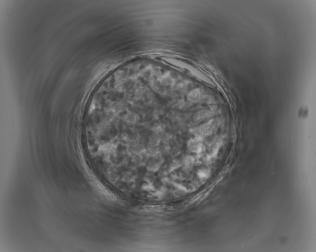 X0000094350049200711301411