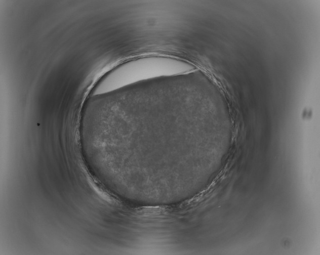 X0000094350050200711301411