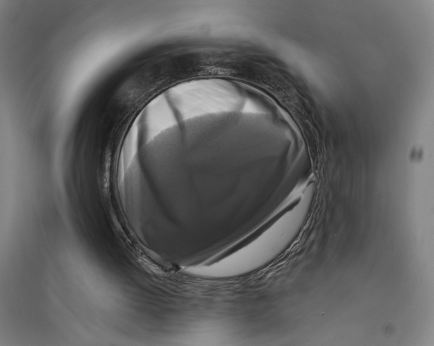 X0000094350052200711301411