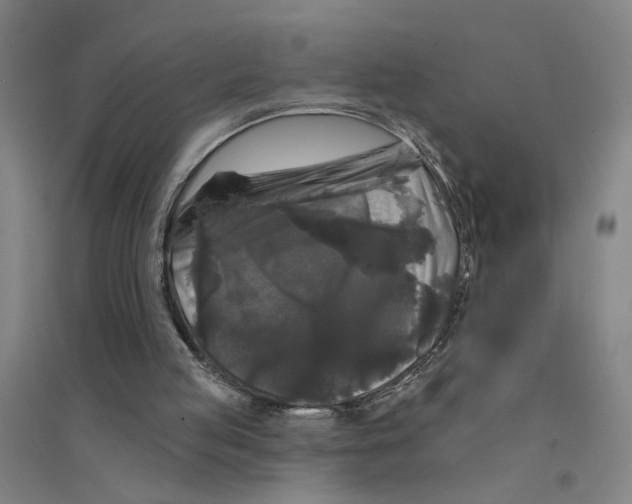 X0000094350053200711301411