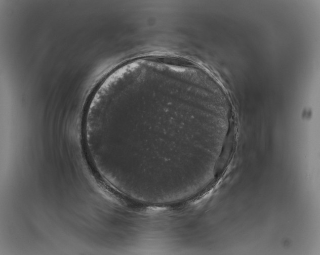 X0000094350055200711301411