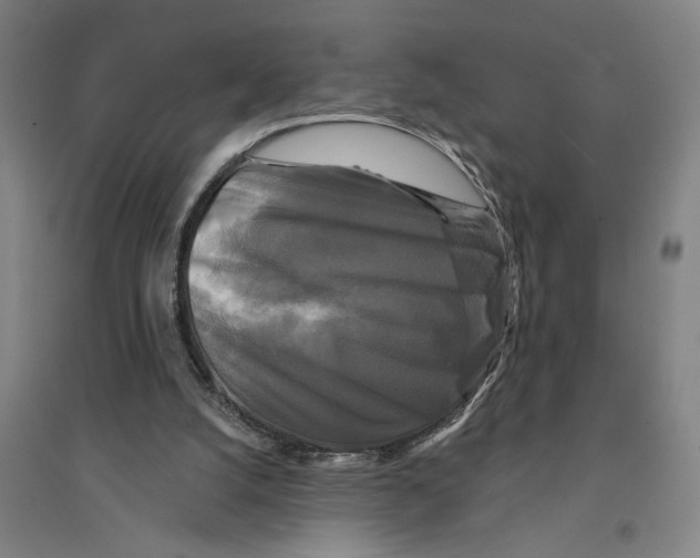 X0000094350056200711301411