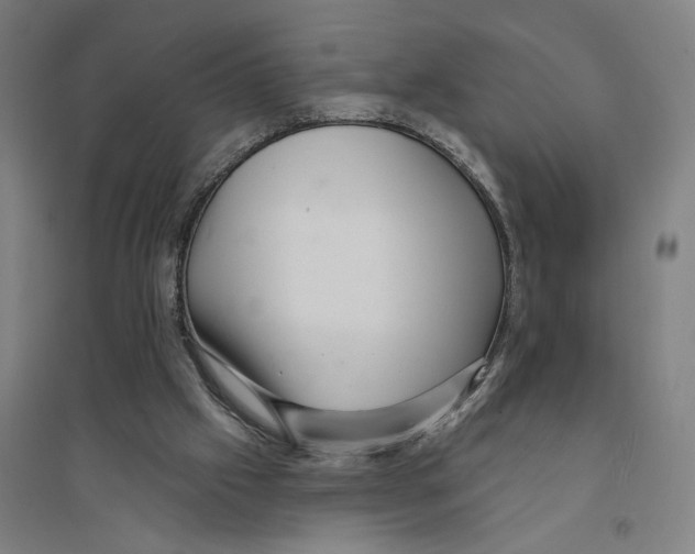 X0000094350057200711301411