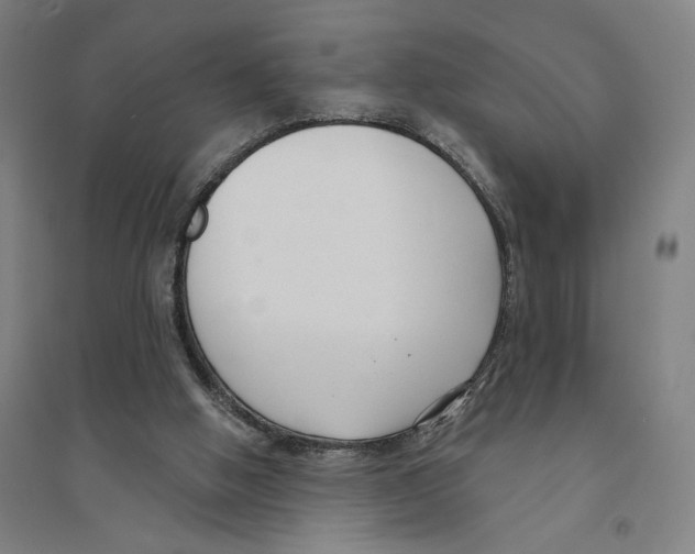X0000094350058200711301411