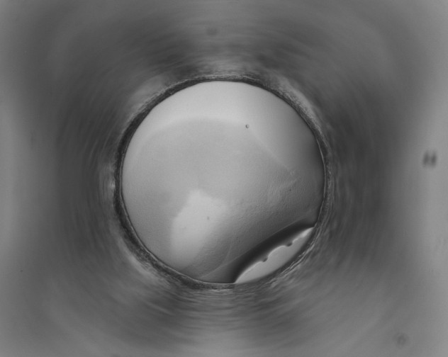 X0000094350059200711301411