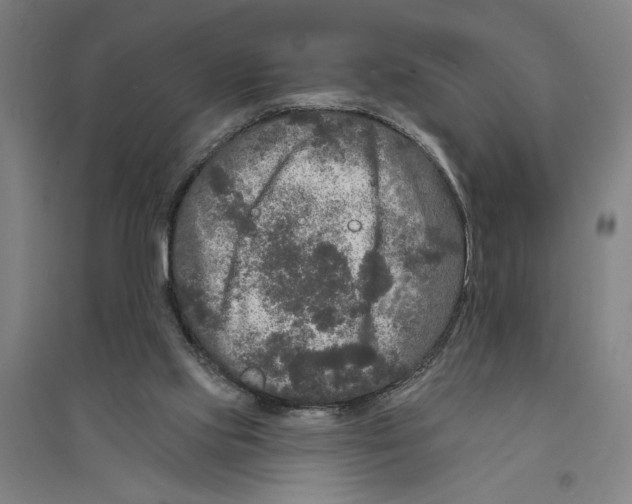 X0000094350061200711301411