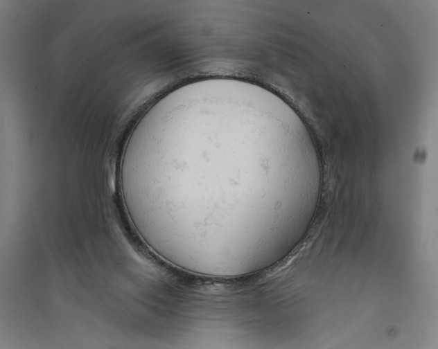 X0000094350062200711301411