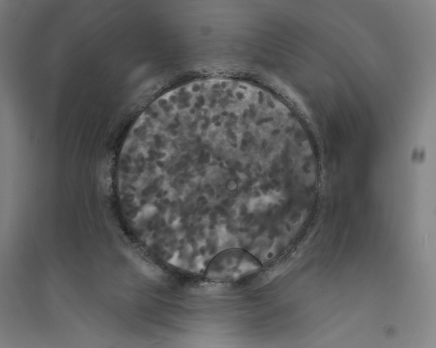 X0000094350065200711301411