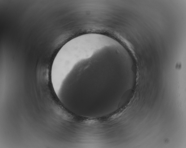 X0000094350067200711301411