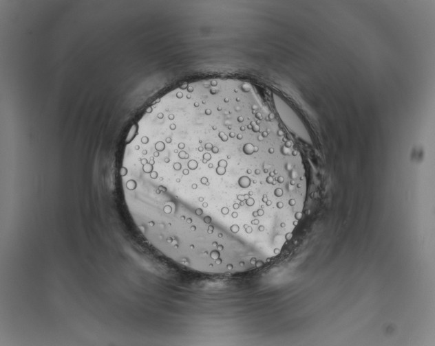 X0000094350068200711301411