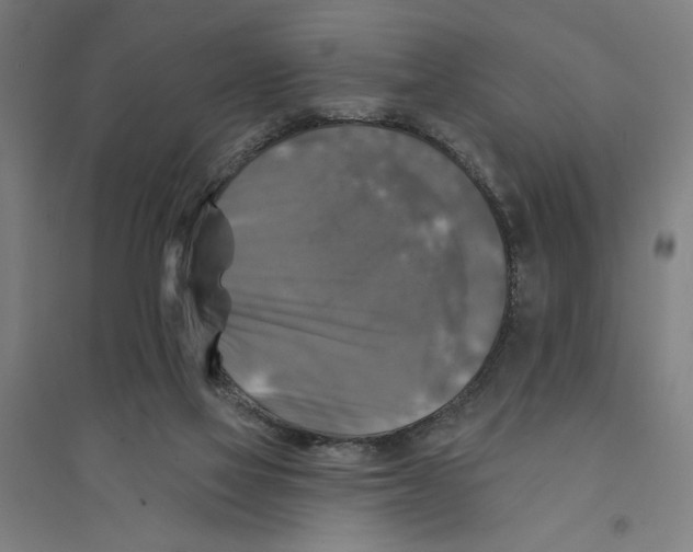 X0000094350069200711301411