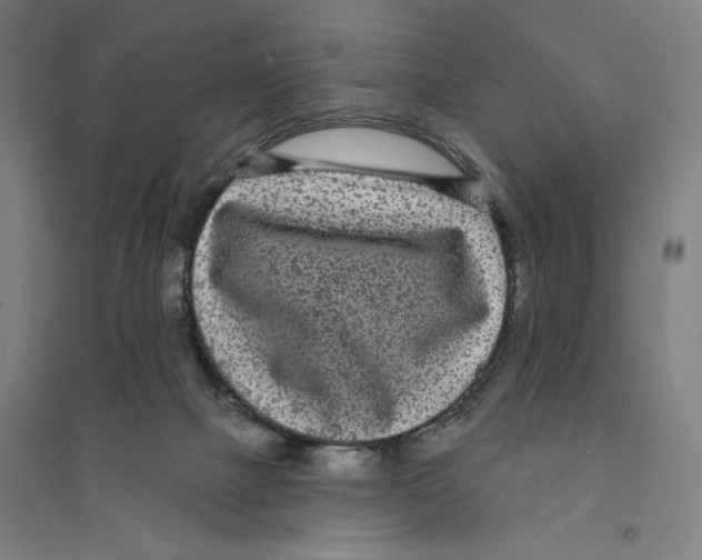 X0000094350073200711301412