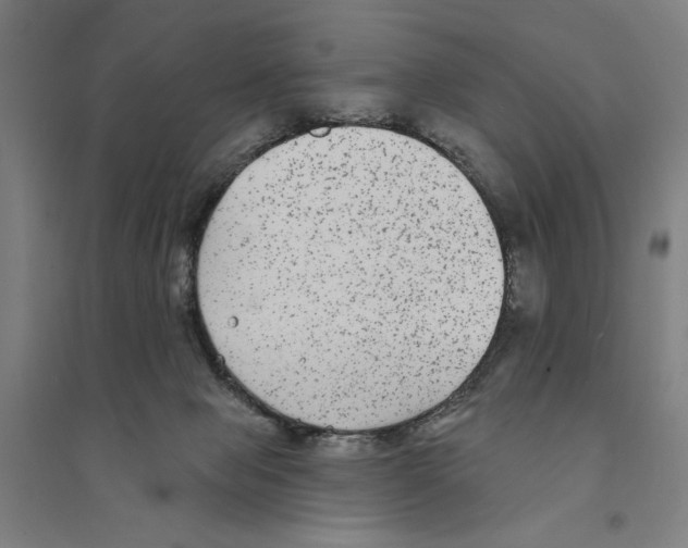 X0000094350077200711301412