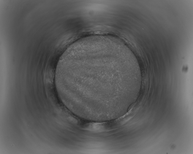 X0000094350078200711301412