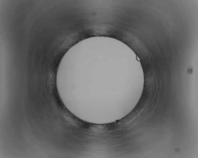 X0000094350079200711301412