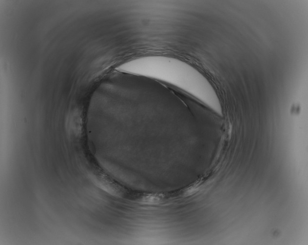 X0000094350080200711301412