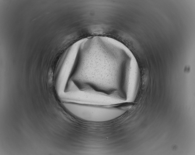 X0000094350081200711301412