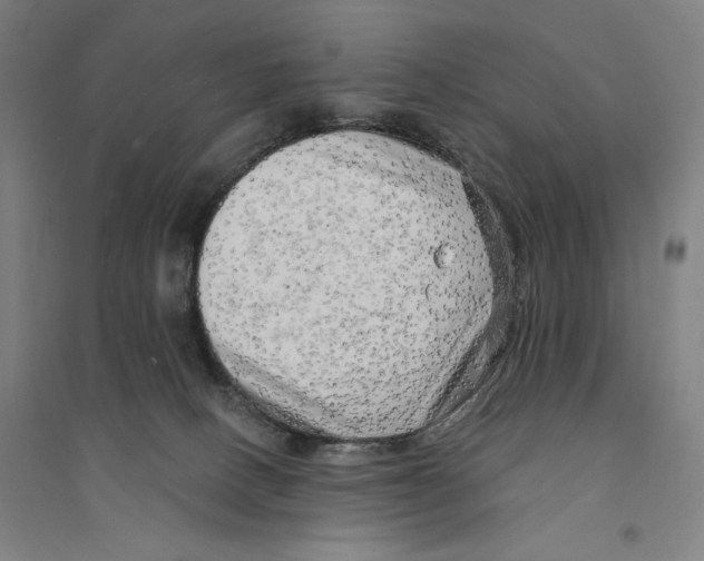 X0000094350082200711301412