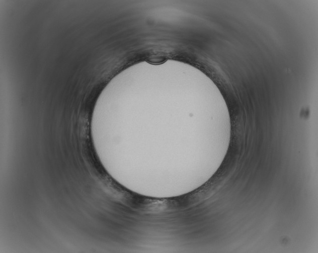 X0000094350083200711301412