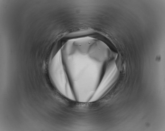 X0000094350084200711301412