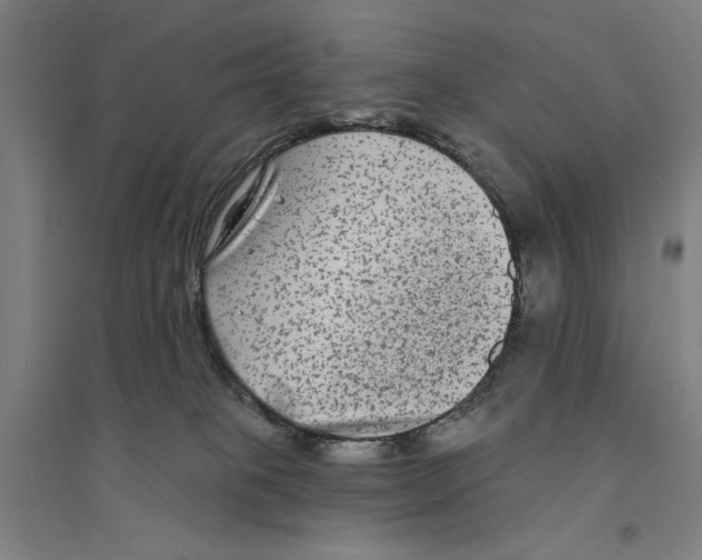 X0000094350085200711301412