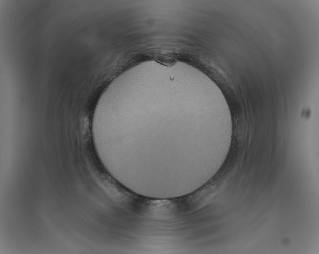 X0000094350087200711301412