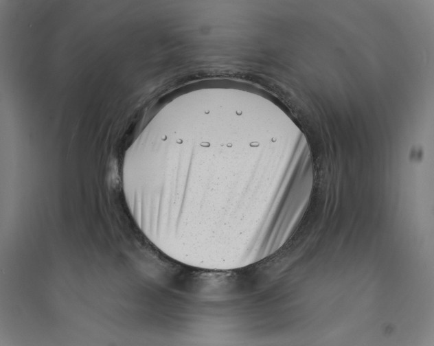 X0000094350089200711301412