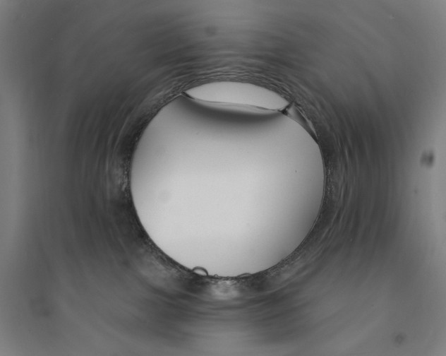 X0000094350091200711301412
