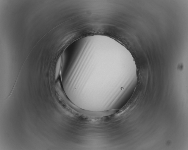 X0000094350092200711301412