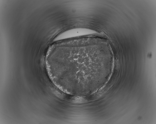 X0000094350093200711301412