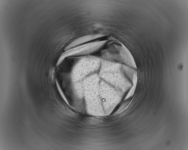 X0000094350094200711301412