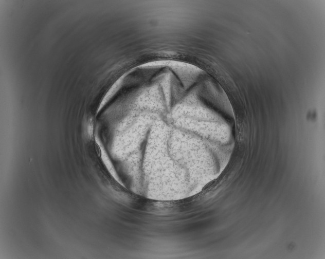 X0000094350095200711301412