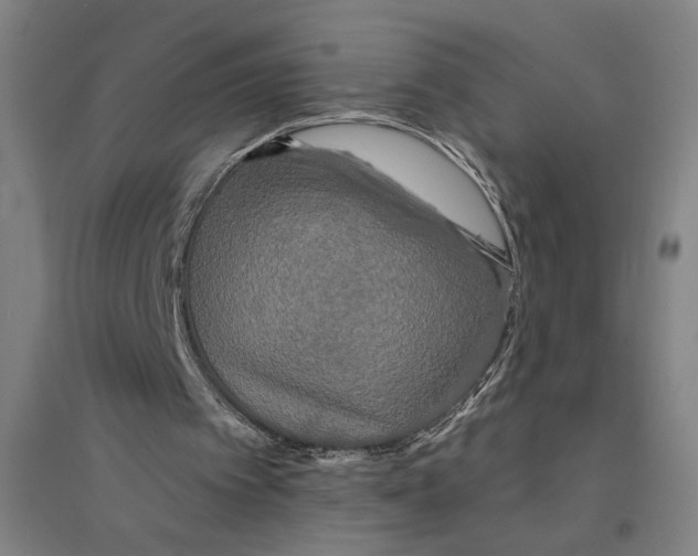X0000094350097200711301411